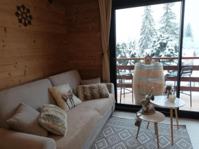 Appartement montagne LE FLOCON